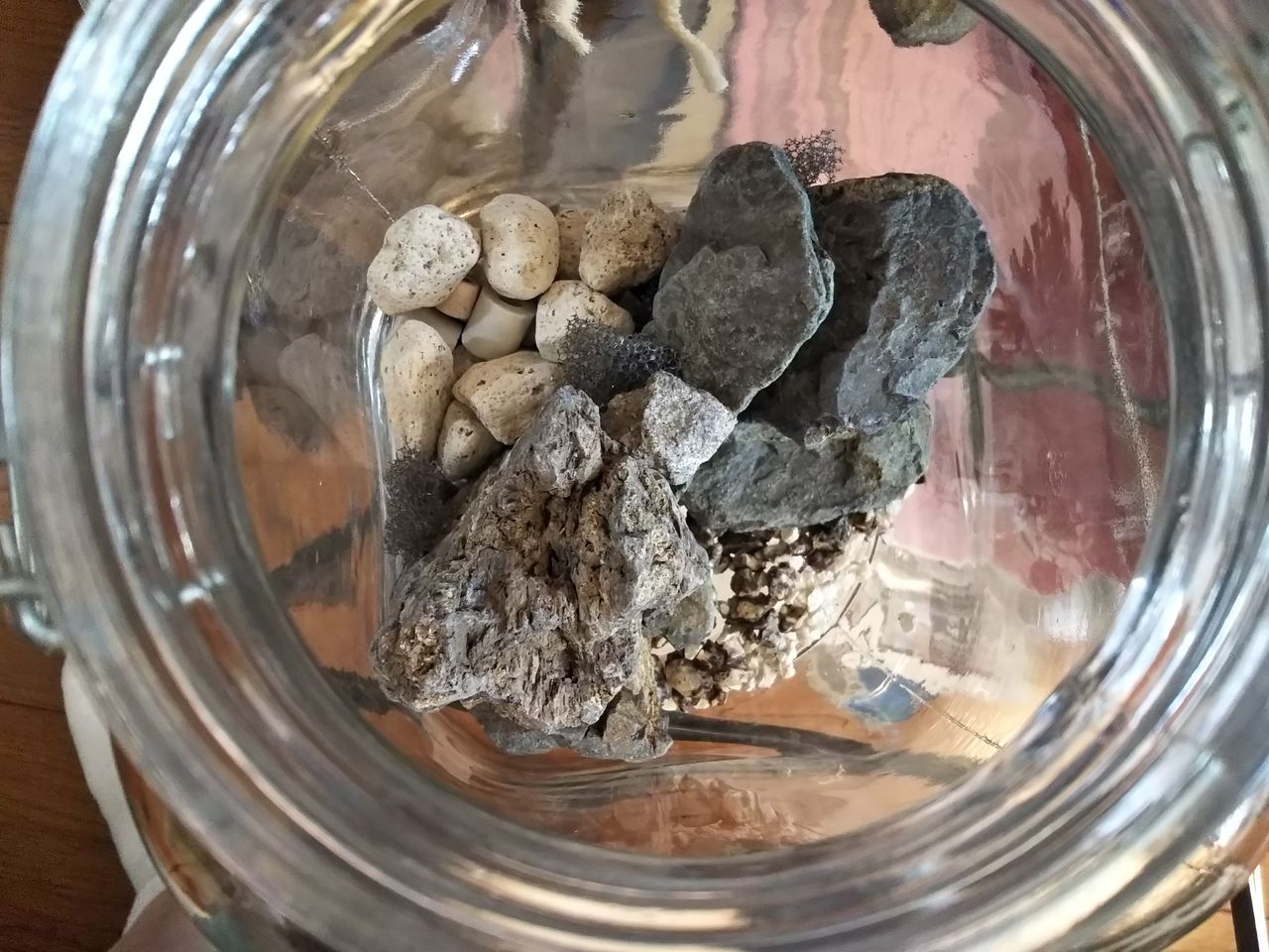 ボトルアクアテラリウム 狭くても楽しくガーデニング アクアリウム ボトルアクアテラリウム 狭くても楽しくガーデニング アクアリウム