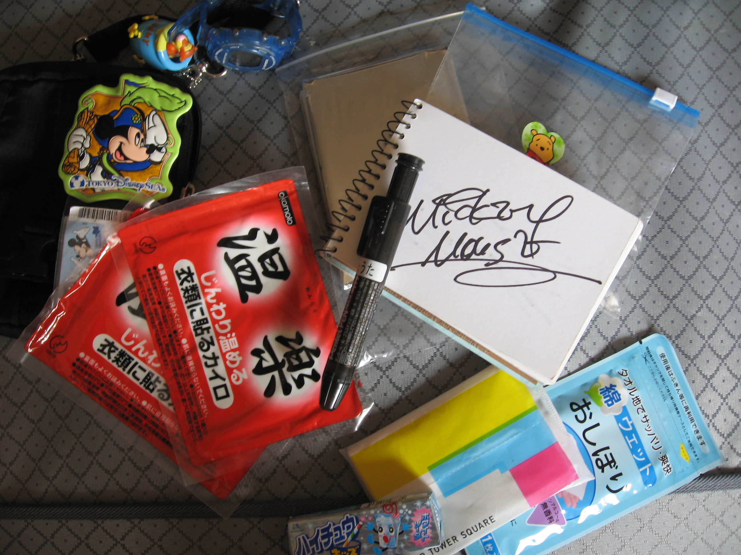 子供用小さいバッグの中身 3 365のディズニーランド