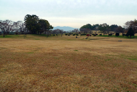 起伏のある広大な敷地にふかふかの芝、「大室公園」RUNが超楽しい!