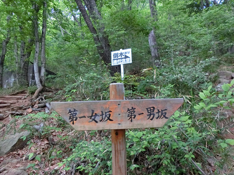 CIMG1852