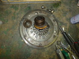 ion-3