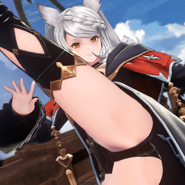 【グラブル】人生最後に見るフラウ