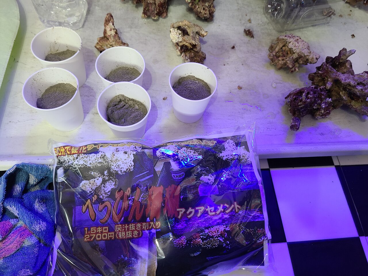 アクロバティックなレイアウト作り方とアクアギフトのスキマー