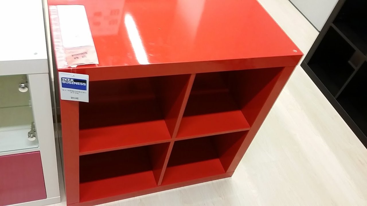 水槽新規立ち上げ アクア用品はイケヤ ニュースリリース