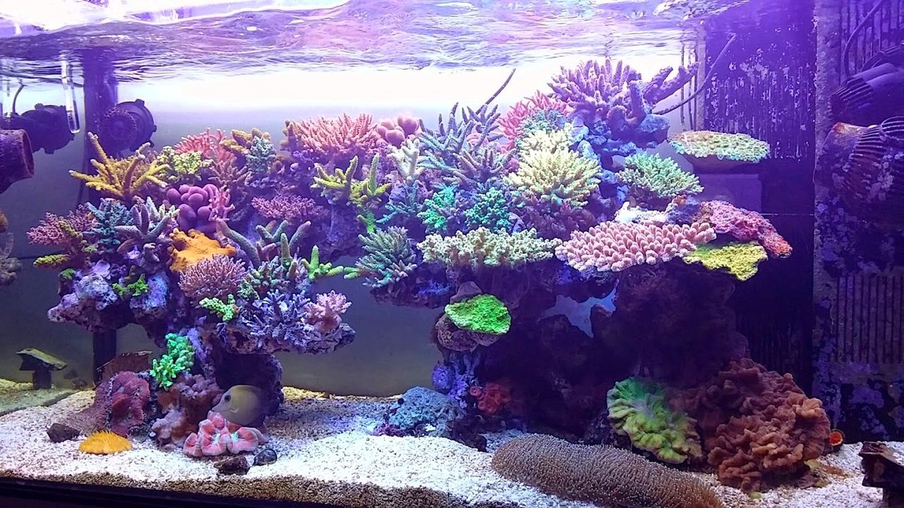 アクアパートナーさんに来ました ニュースリリース