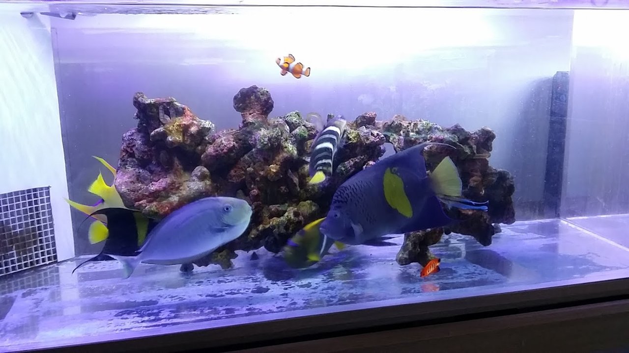 魚編 ニュースリリース 魚編 ニュースリリース