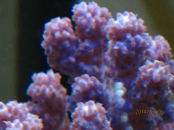 IMG_3445