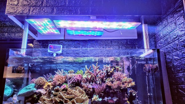 珊瑚水槽照明 LEDライト ブラックボックス プリズムレンズ　2台　※訳あり 2台 珊瑚水槽LEDライト ブラックボックス PSE技術基準適合