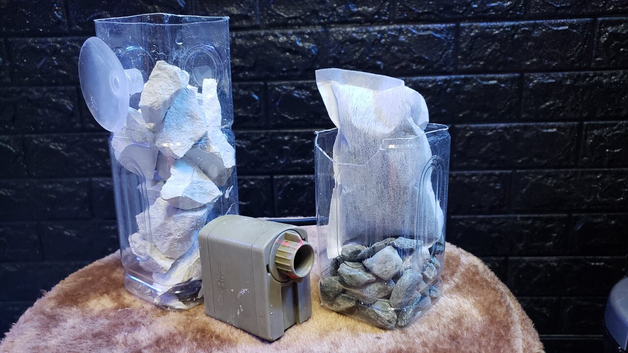 ゼオライトリアクター : べっぴん珊瑚