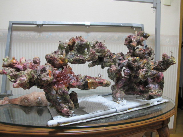 レプリカライブロックおまかせ5個セット レイアウト 擬岩 サンゴ 水槽