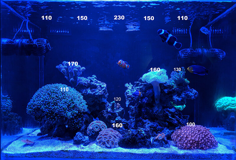 珊瑚水槽照明 LEDライト ブラックボックス プリズムレンズ　2台　※訳あり Amazon.co.jp: 【PSE技術基準適合】サンゴの育成と演色に特化した165W