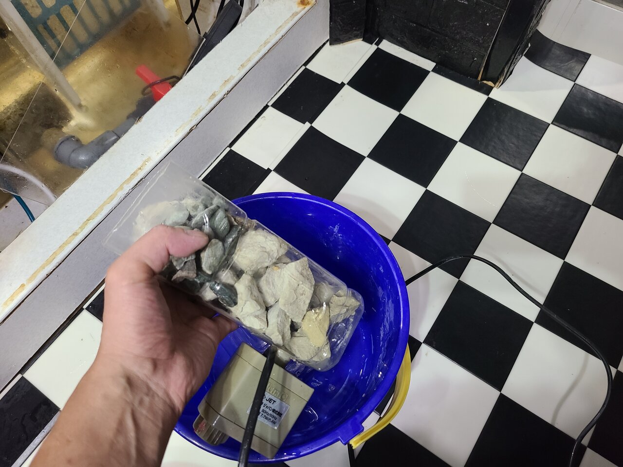 ゼオライトリアクター : べっぴん珊瑚