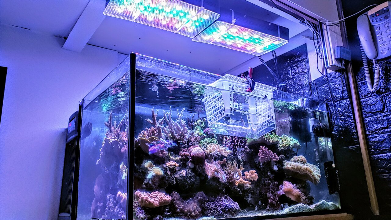 珊瑚水槽照明 LEDライト ブラックボックス PSE技術基準適合