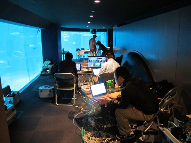 海遊館の裏側情報 ニュースリリース