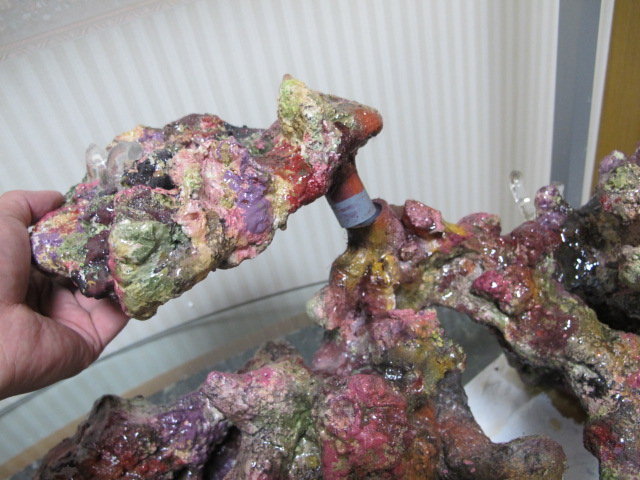 私のレイアウトが完成 14zeni Naiyo ニュースリリース