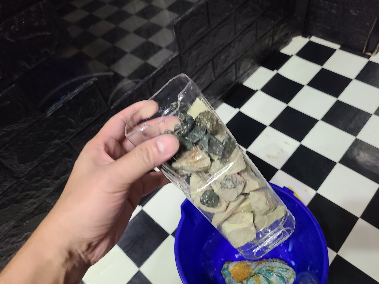 ゼオライトリアクター : べっぴん珊瑚