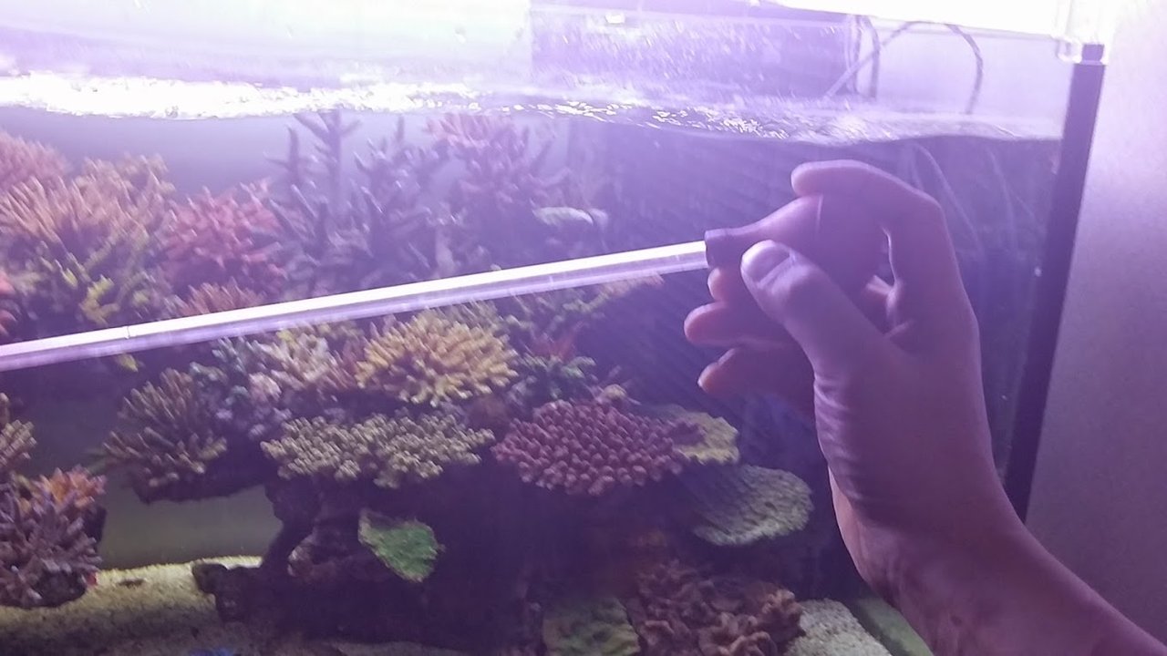 水槽のメンテ ニュースリリース