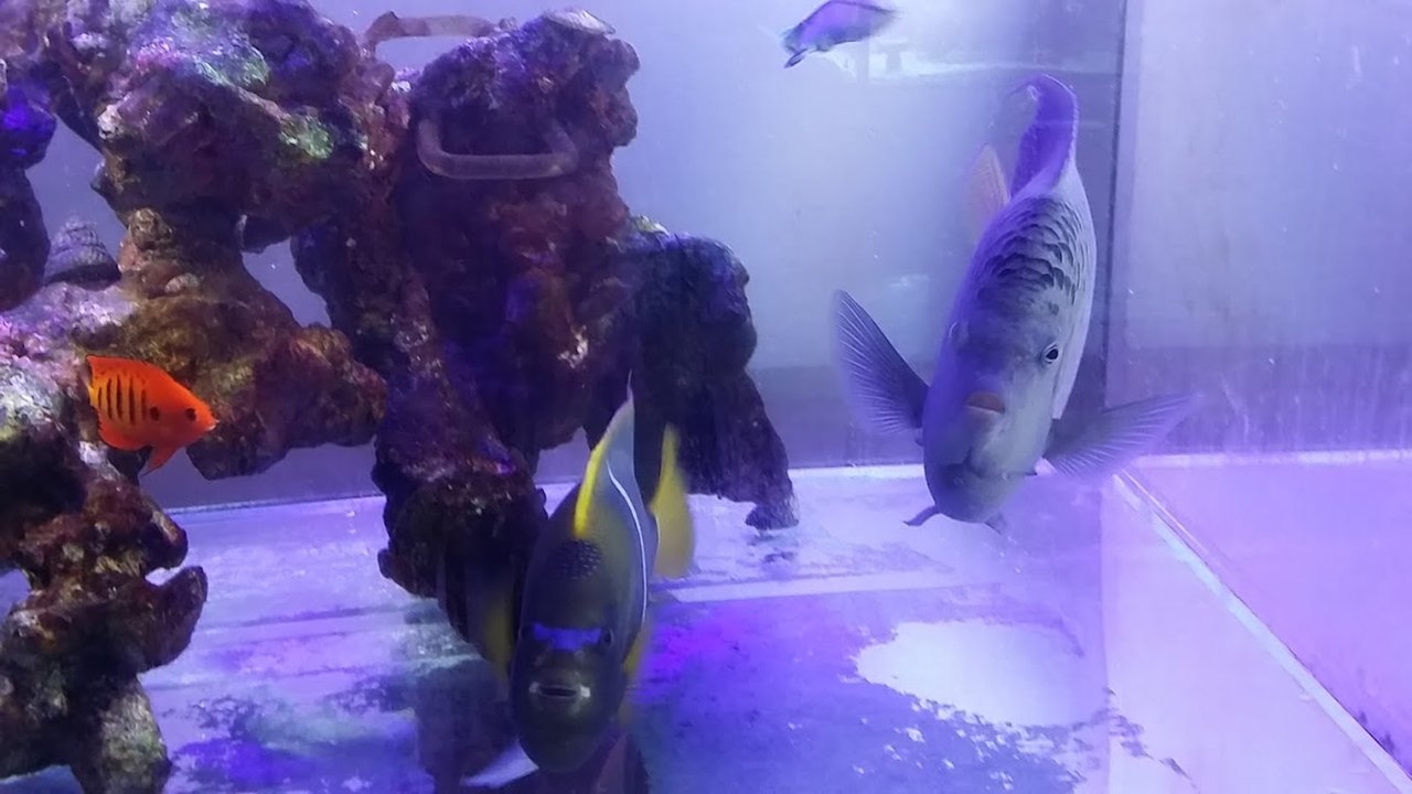 魚編 ニュースリリース 魚編 ニュースリリース