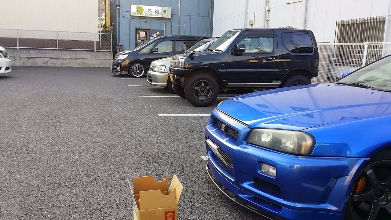 エキゾチック アフリカさんへ ストロベリー爆入荷セール中 ニュースリリース