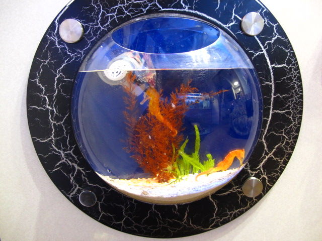 我が家の自作 Diy アクア制作を紹介 ニュースリリース