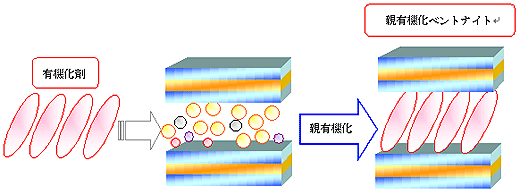 擬岩とゼオライトのお話 ニュースリリース