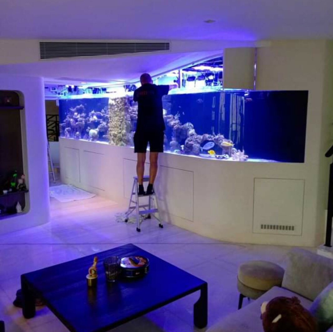 ゼオライトリアクター : べっぴん珊瑚