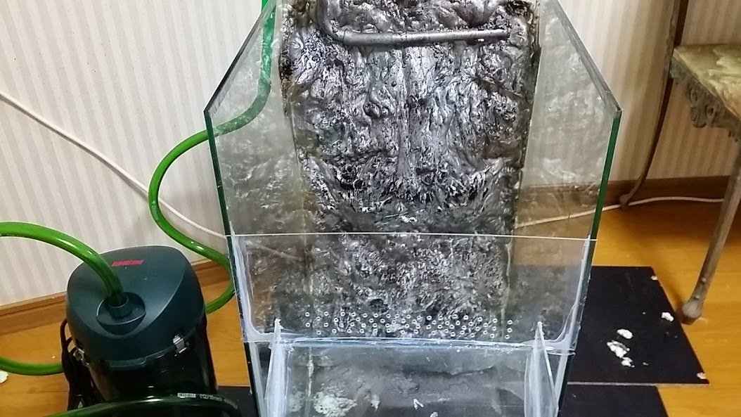 アクアギフト 滝水槽完成 ぺっぴん水槽紹介 ニュースリリース