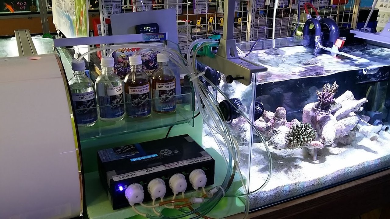 水槽を畳みます・・。 : べっぴん珊瑚