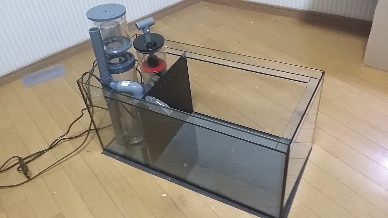 お勧めのスキマー！？ : べっぴん珊瑚