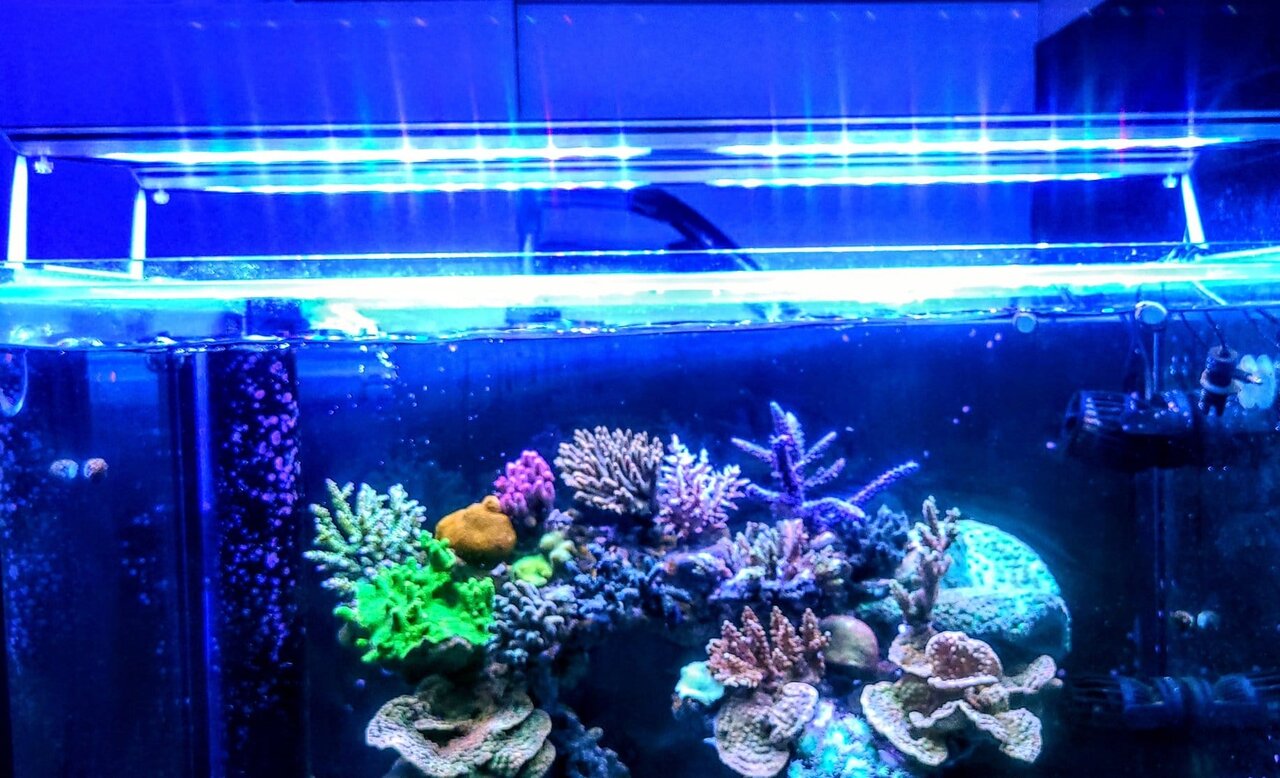 MICMOL Air PRO600 ミクモル 水槽用LED 海水魚 サンゴ MICMOL AIR PRO600 84W LED照明 60cm-80cm! 海水魚・サンゴ用