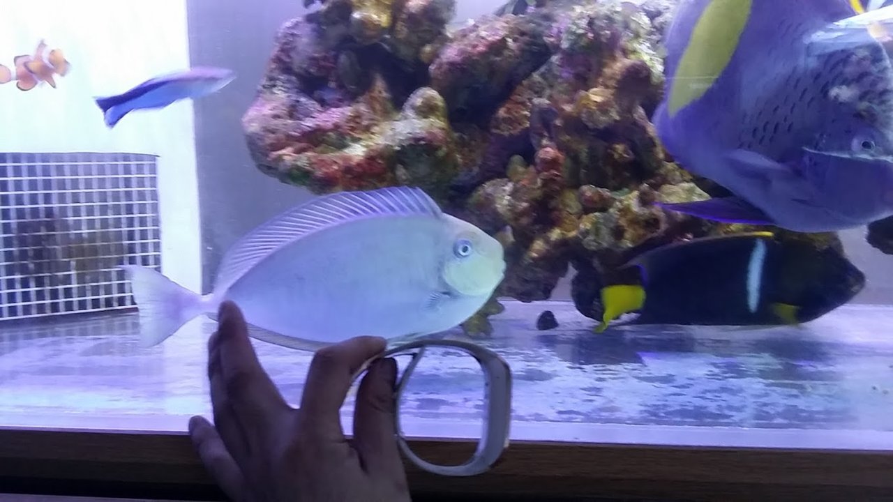魚編 ニュースリリース 魚編 ニュースリリース
