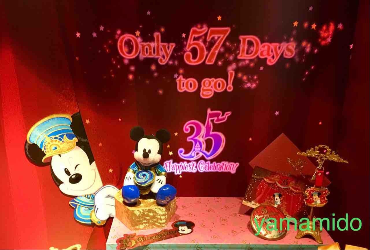 ディズニー35周年カウントダウン ディズニーストアd23グッズ グリーン娘のblog