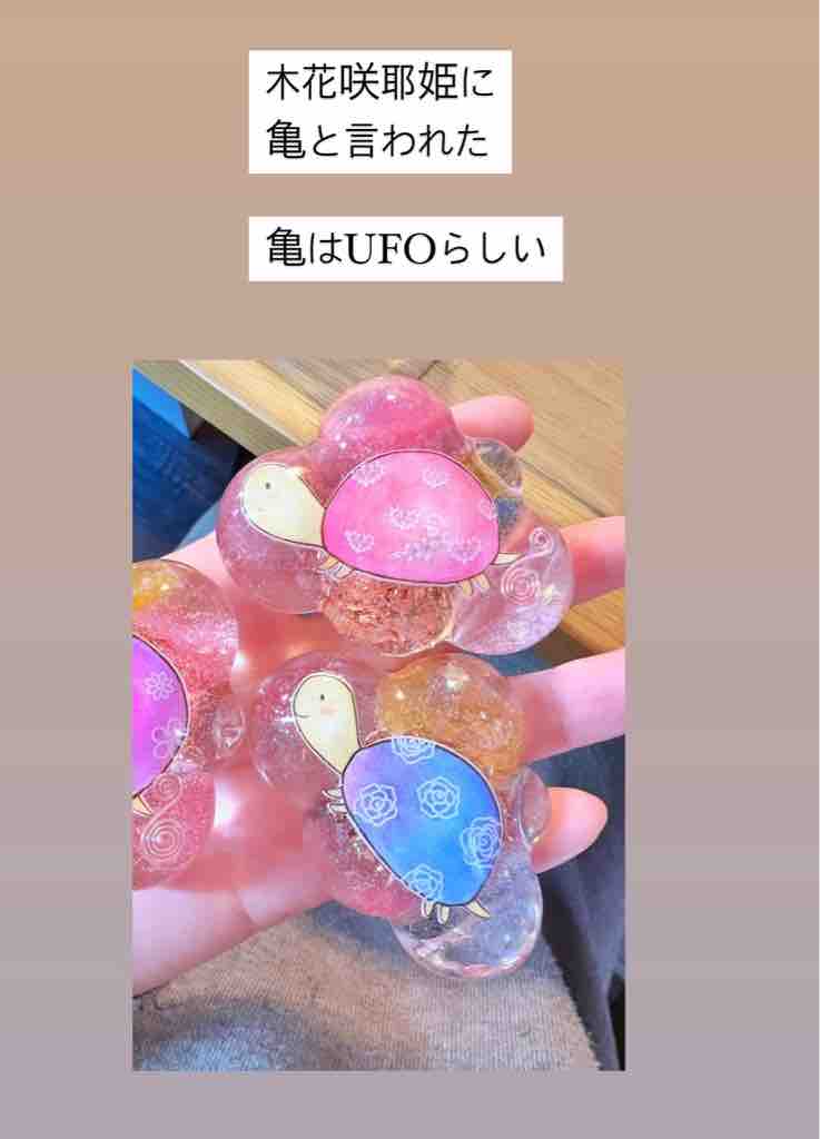 亀の意味 神女への道 麗しのサラスバティ