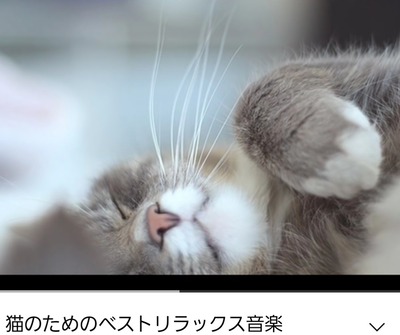 Screenshot_20220513-171934_YouTube