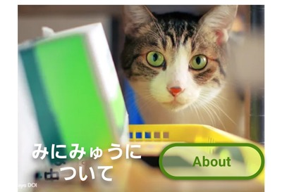 Screenshot_20240525_171417_Chrome