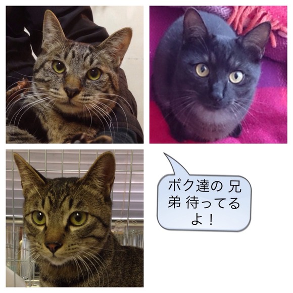 2014-04-02-19-16-32