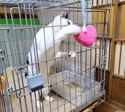 VideoCapture_20220222-170112