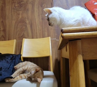 VideoCapture_20211215-213831