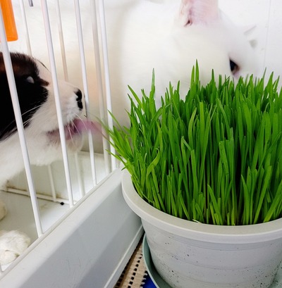 2023-01-19-21-38-53-847