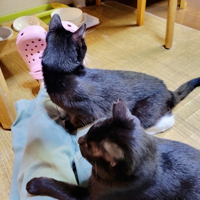 20250328_202036