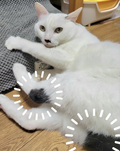 20260812_151419