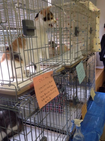 2015-01-25-13-49-16