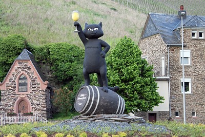 schwarze-katz2