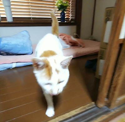 VideoCapture_20220313-212523