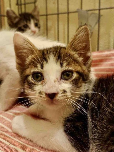 FullSizeRender
