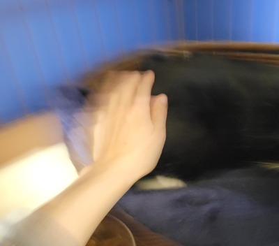 20260214_155454