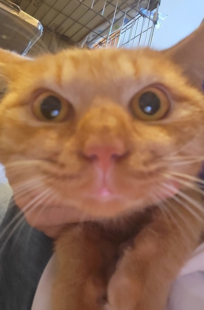 20251026_173231