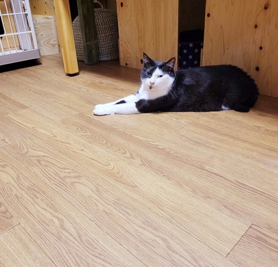 2022-05-14-19-52-20-738