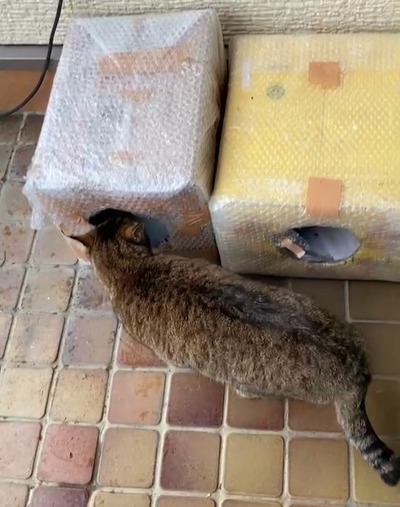 VideoCapture_20221223-134429