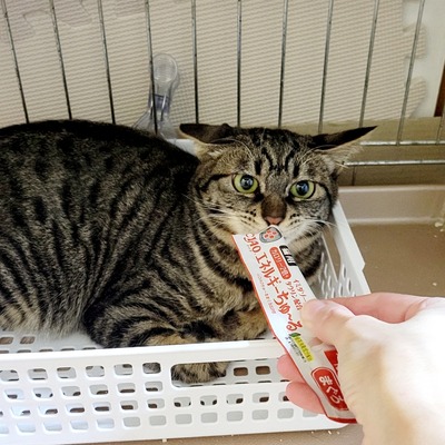 2023-02-01-18-20-03-030